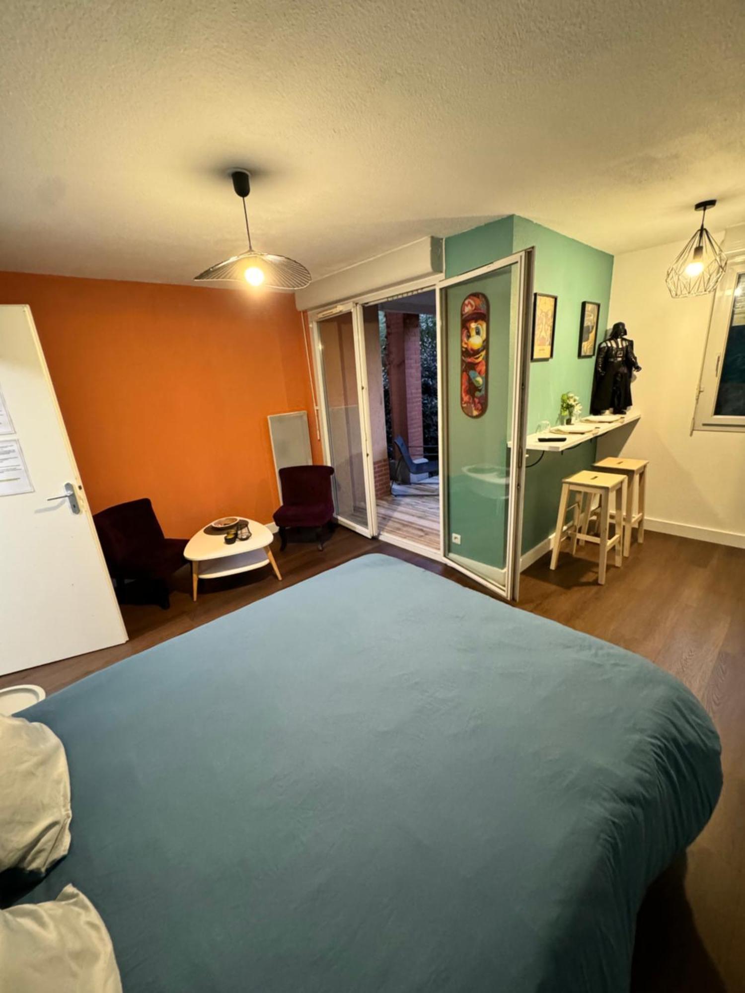 Le Loft Geek Daire Toulouse Dış mekan fotoğraf